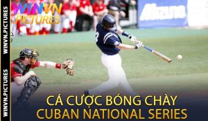 Cá Cược Bóng Chày Cuban National Series